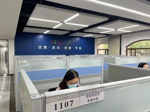 北京12348公共法律服务热线半年观察 婚姻家事与劳动纠纷成咨询热点，数字时代新类型问题显现